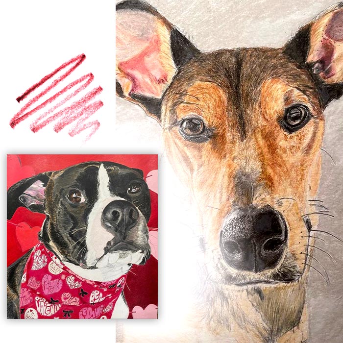 Custom commissioned pet portrait art by Louis Ely of Lou Art in Madison, WI.