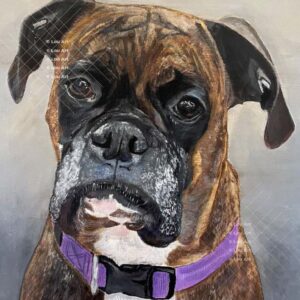 Hand drawn commissioned pet portrait by artist Louis Ely in Madison Wisconsin of Lou Art.