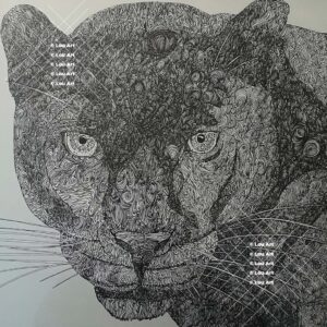 Hand drawn intuitive mark line art of panther or cougar cat by artist artist Louis Ely in Madison Wisconsin of Lou Art.