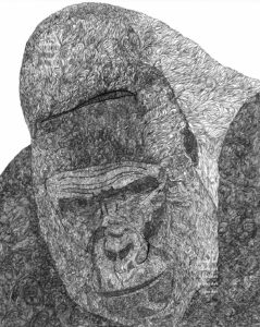 Hand drawn intuitive mark line art of large gorilla by Louis Ely in Madison Wisconsin of Lou Art.