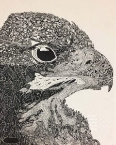 Example of student art work drawing of Hawk or Eagle from art lessons by Lou Art in Madison, WI.