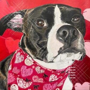 Hand drawn Valentine commissioned pet portrait by artist Louis Ely in Madison Wisconsin of Lou Art.